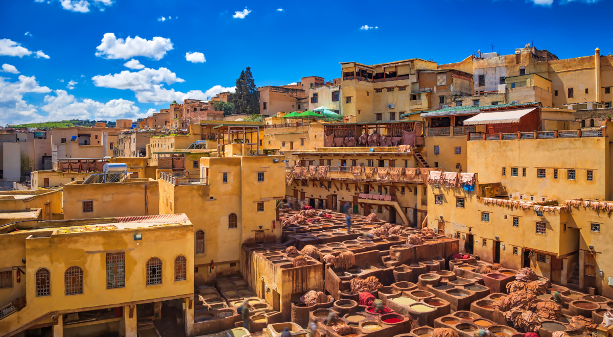The largest and busiest of the four traditional leather tanneries still operating in the medina in Fez, Morocco