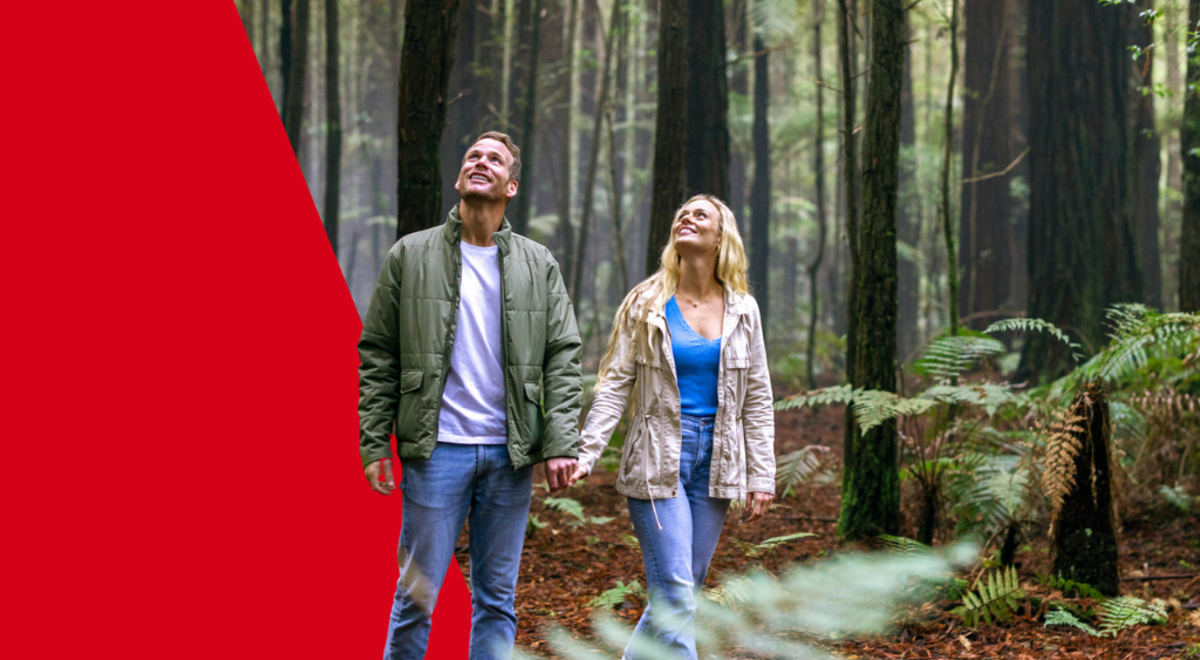 Planning a trip to New Zealand? This travel guide has everything you need to know before you go!