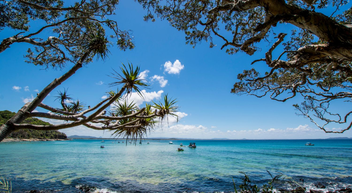 Trees overhanging calm blue waters