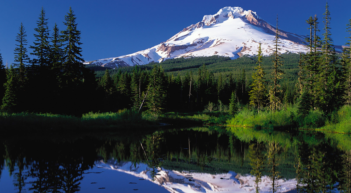 Mount Hood in Summer