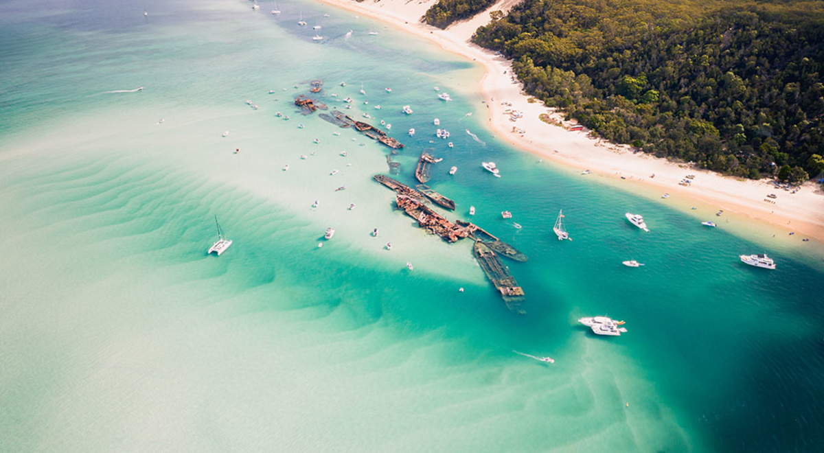 Tangalooma Wrecks Moreton Island QLD