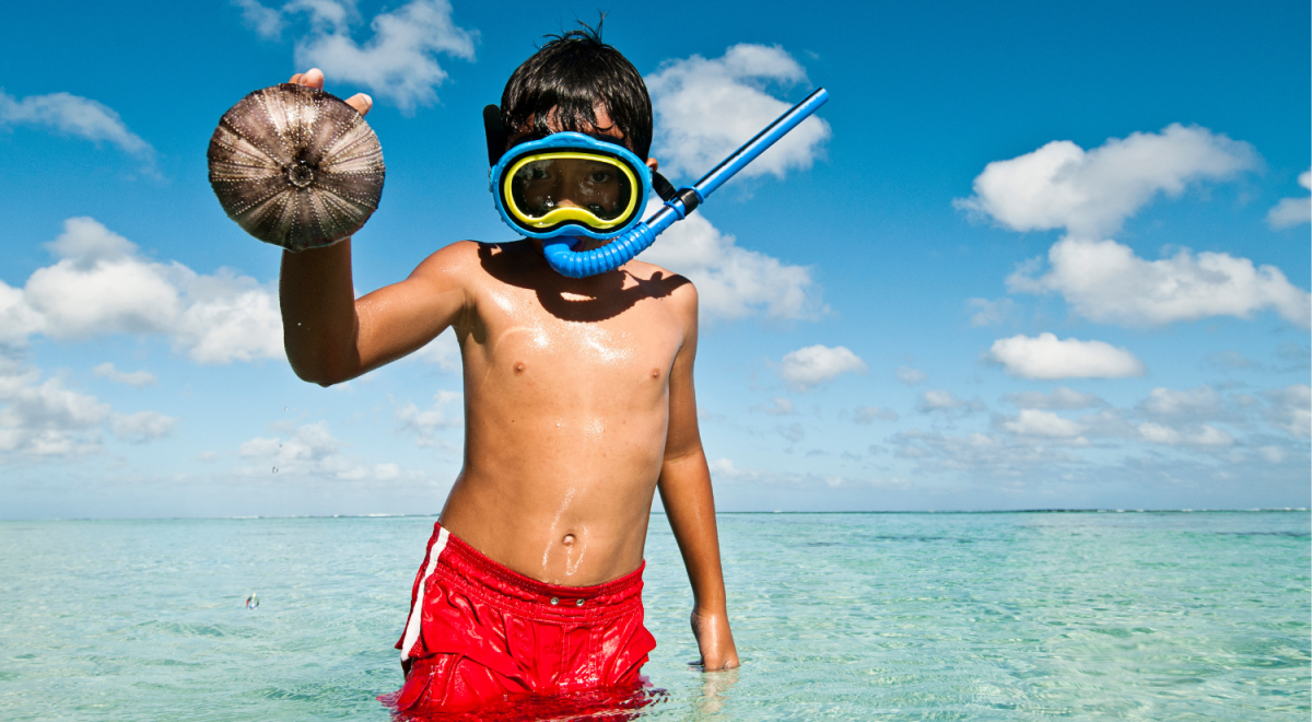A boy wearing a mask and snorkel stands in a lagoon holding up a sea urchin