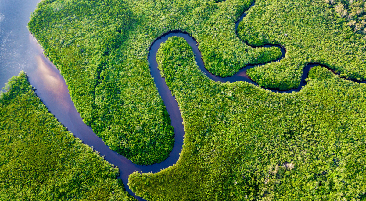 The Daintree Rainforest, Australia