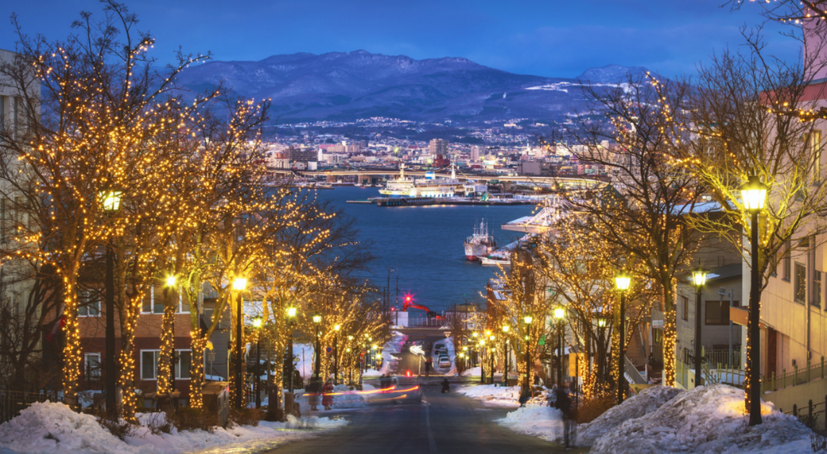 Street leading down to the coast lined with trees covered in lights and snow on the footpath