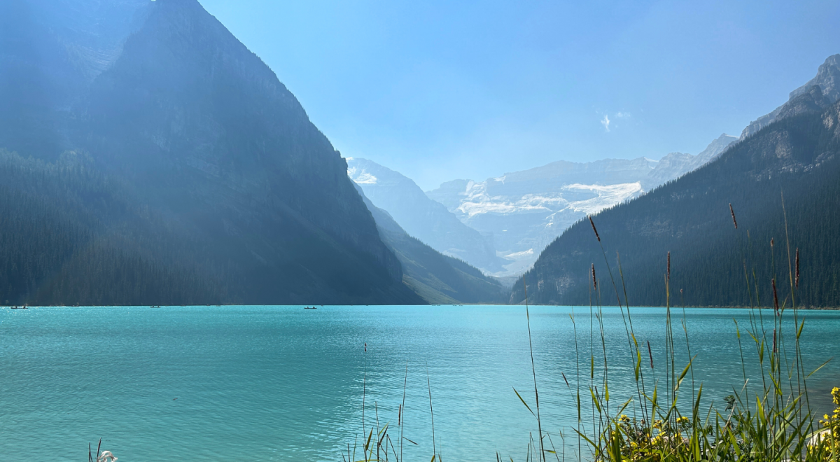 Lake Louise during the day with blue water and mountains in the background and grass in the foreground