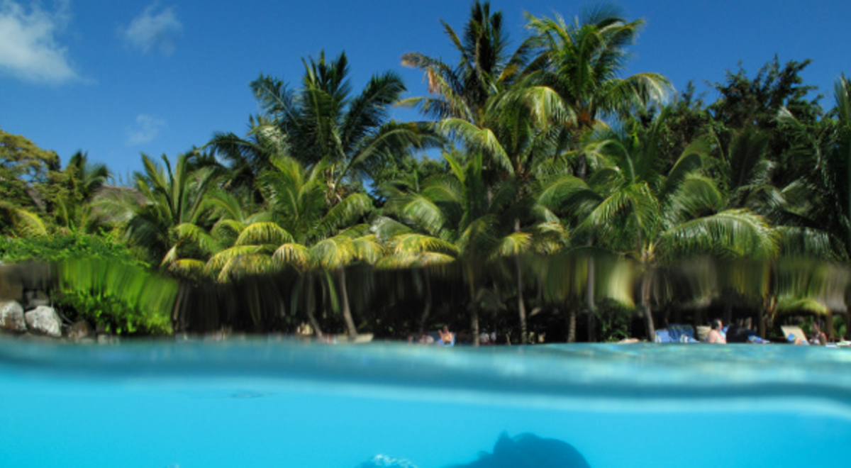one of the best beach in Mauritius, Clear sky and filled with palm trees 