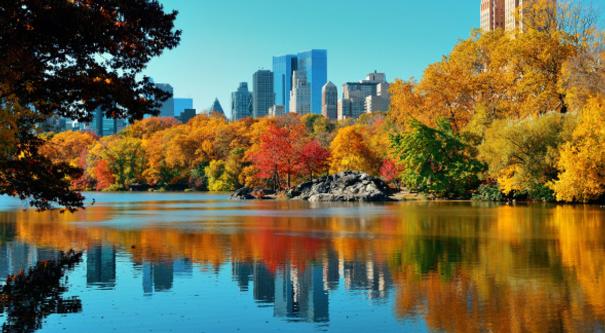 Trees with autumn leaves around lake in Central Park with New York City buildings in backgound