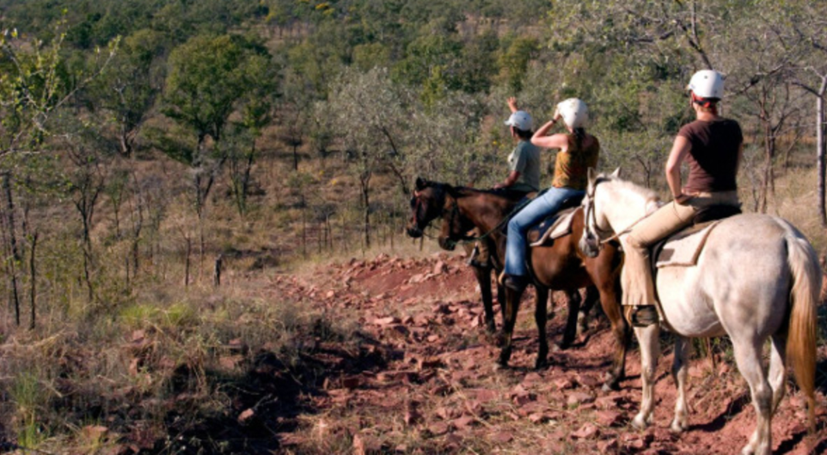 horse riding in the country 
