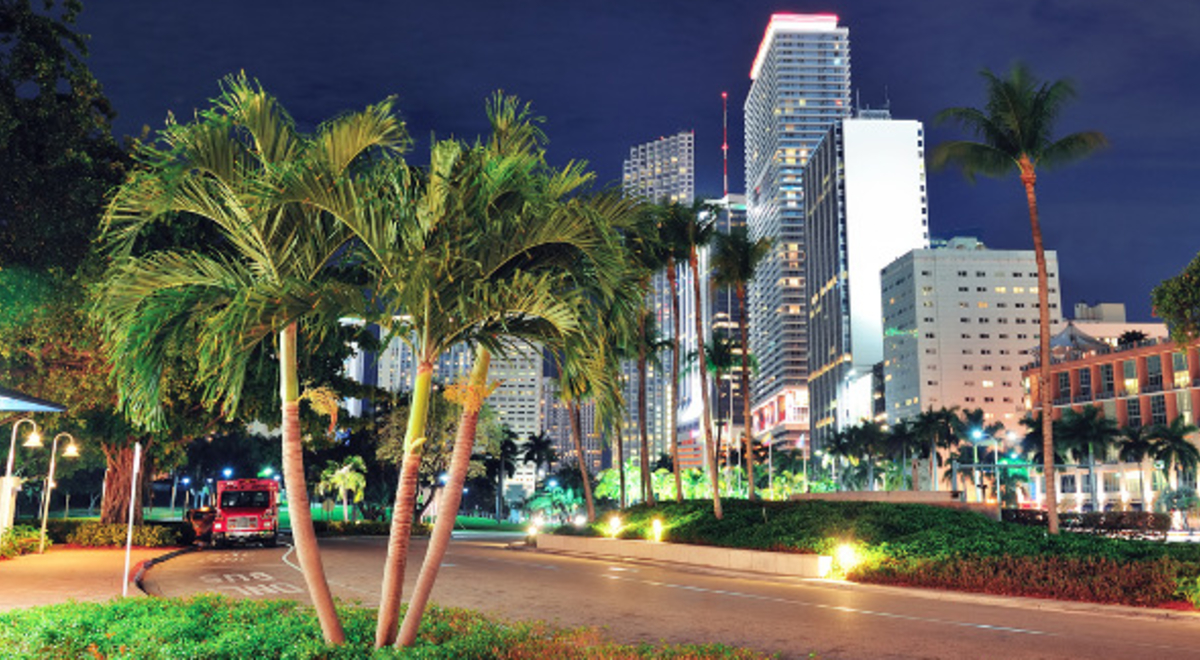 miami at night with palm trees on the street and well-lit skyscraper buildings