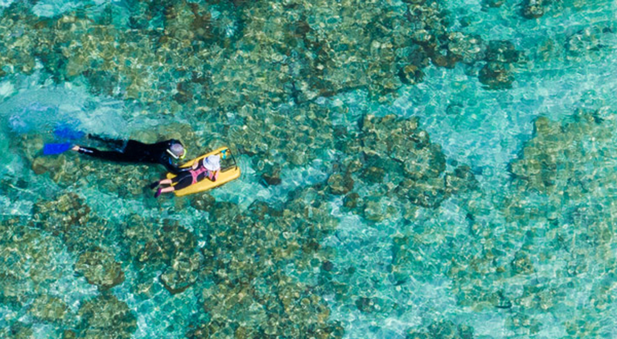 Lady Elliot Island by ben di