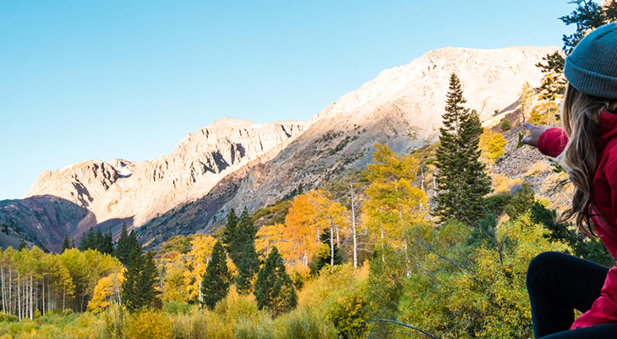 Fall foliage in Lundy Canyon, Mammoth Lakes