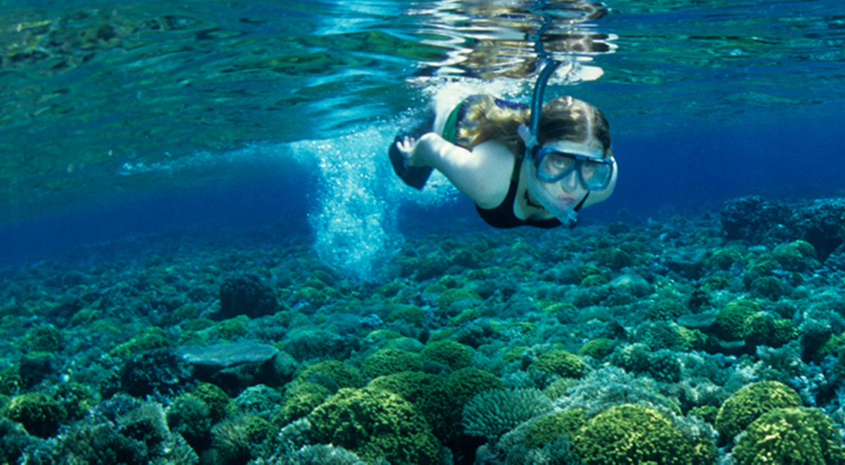 a woman in black tank top snorkelling in Papua New Guinea