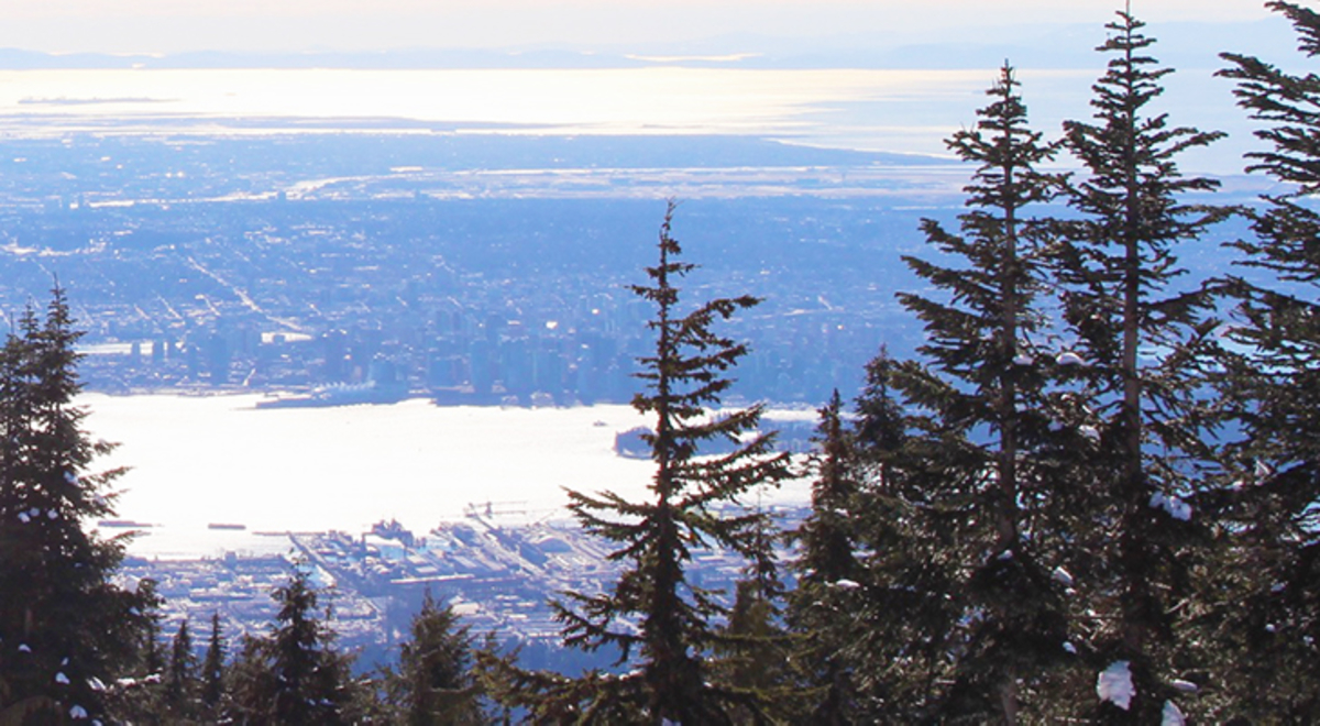 Vancouver City from the Skyride gondola on Grouse Mountain which is filled with pine trees