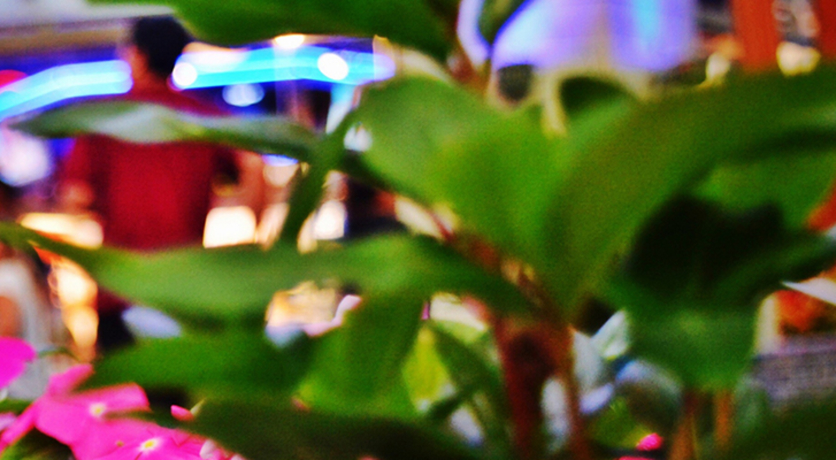 People gathering in Anaheim