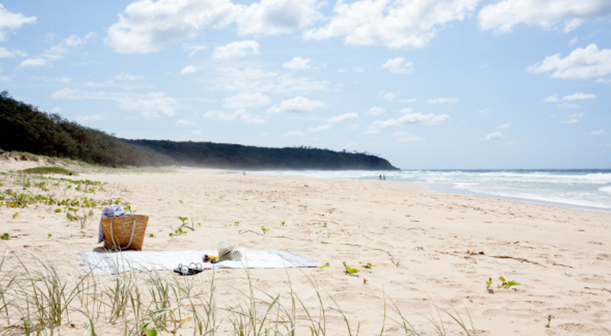 Picnic set-up at the Sunshine Coast 