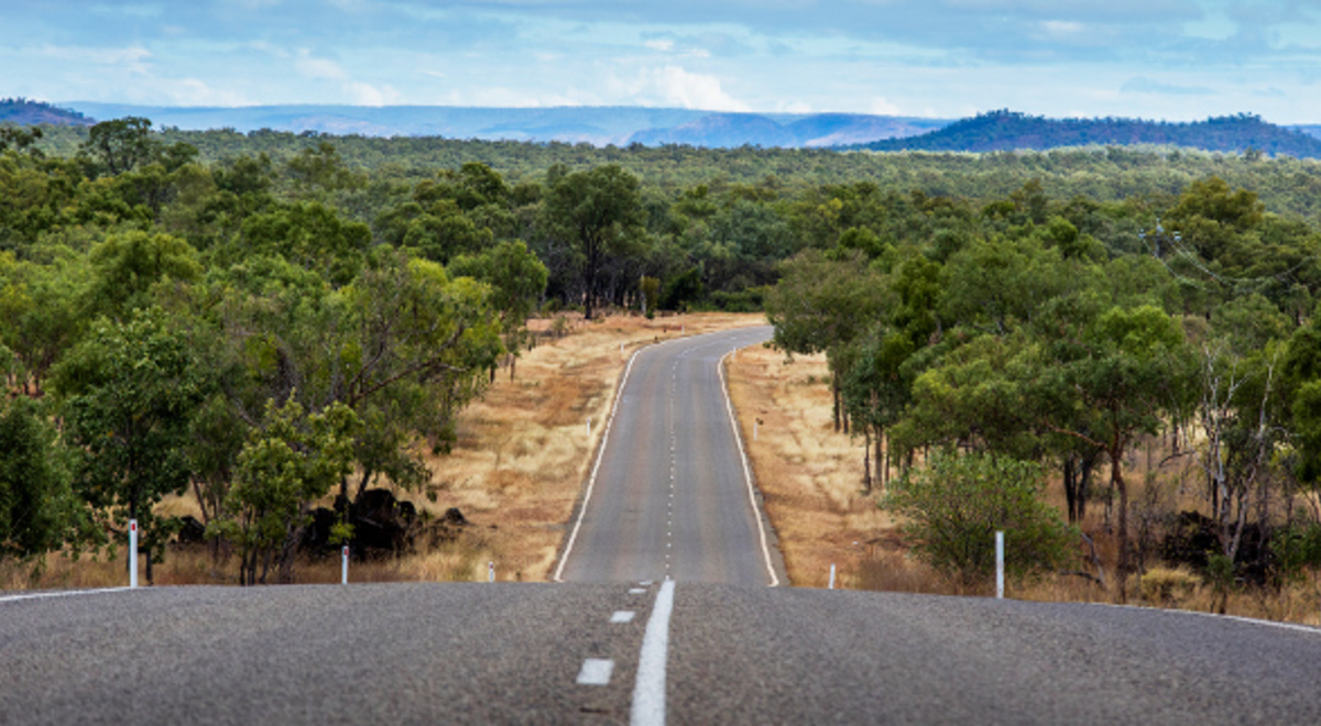 Long road between trees