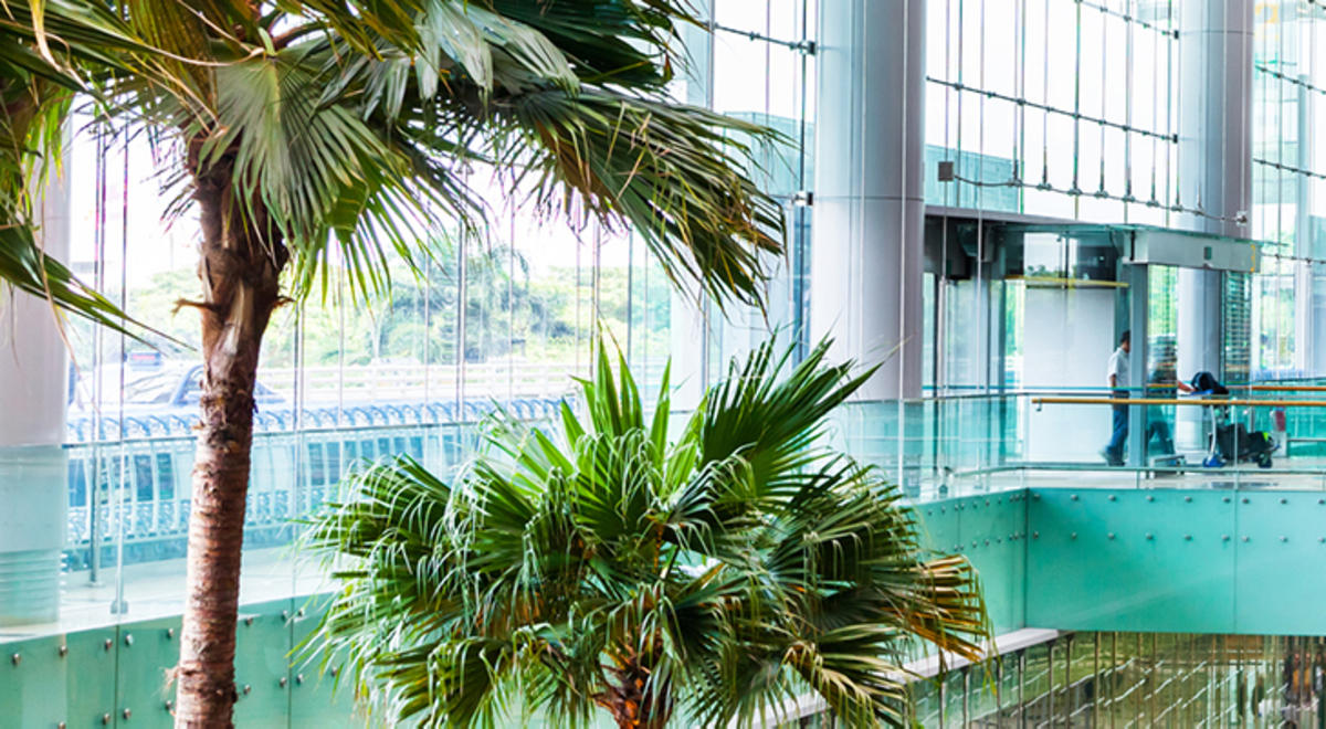 Changi airport architecture 
