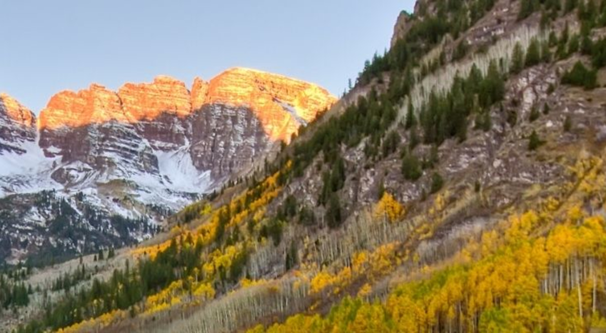 a view of the pine trees and mountain in colorado