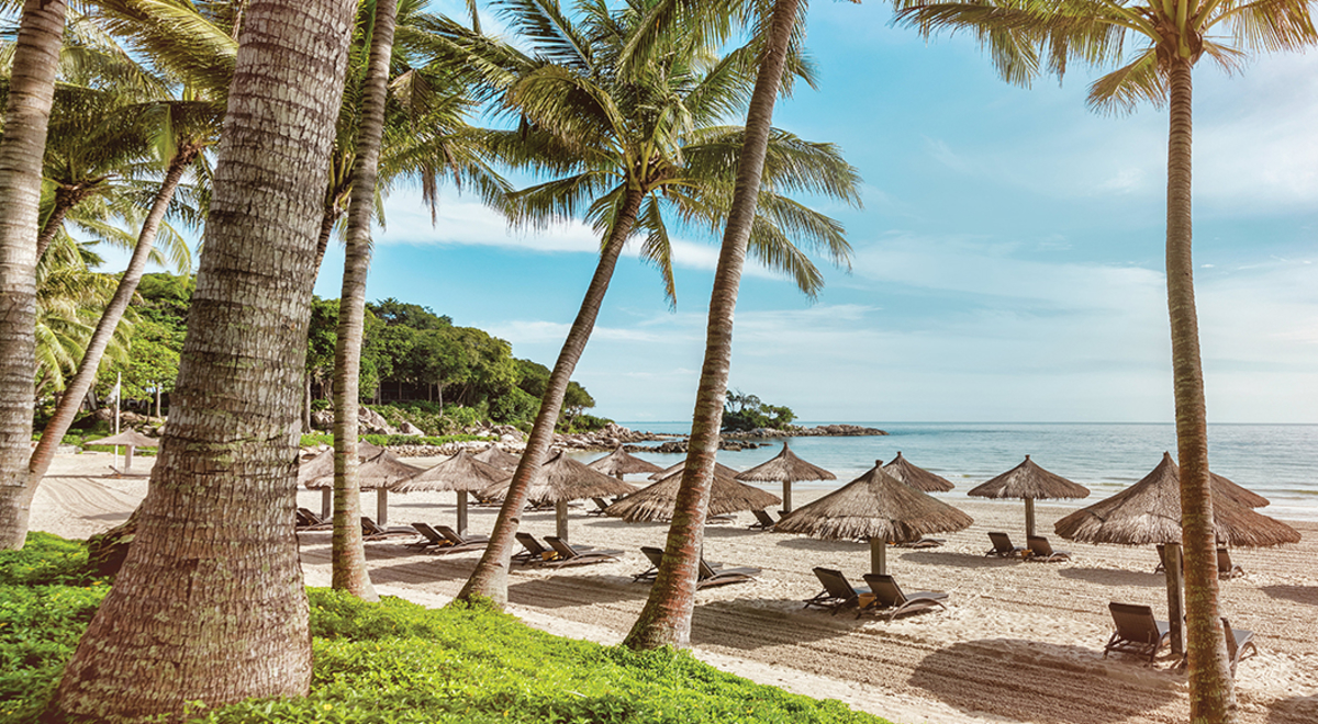 Few beach huts under the tall Coconut tree at the sea side 