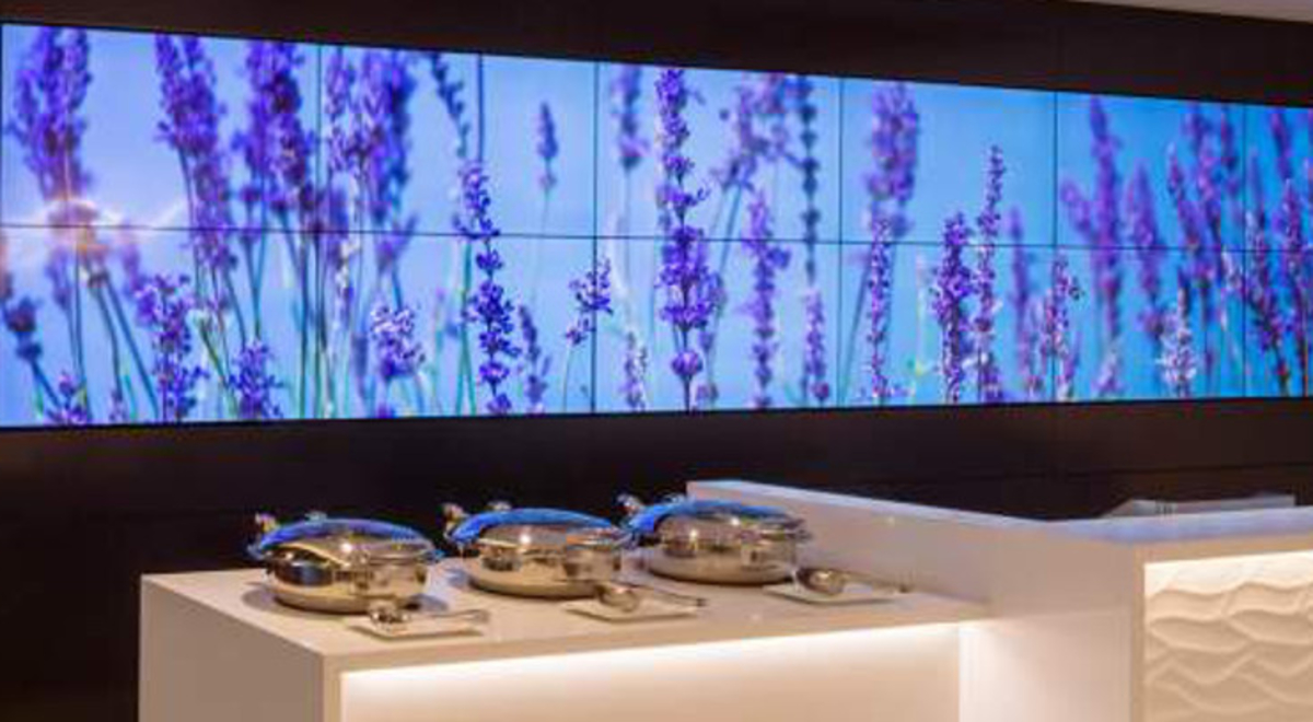 Air New Zealand Sydney International Lounge