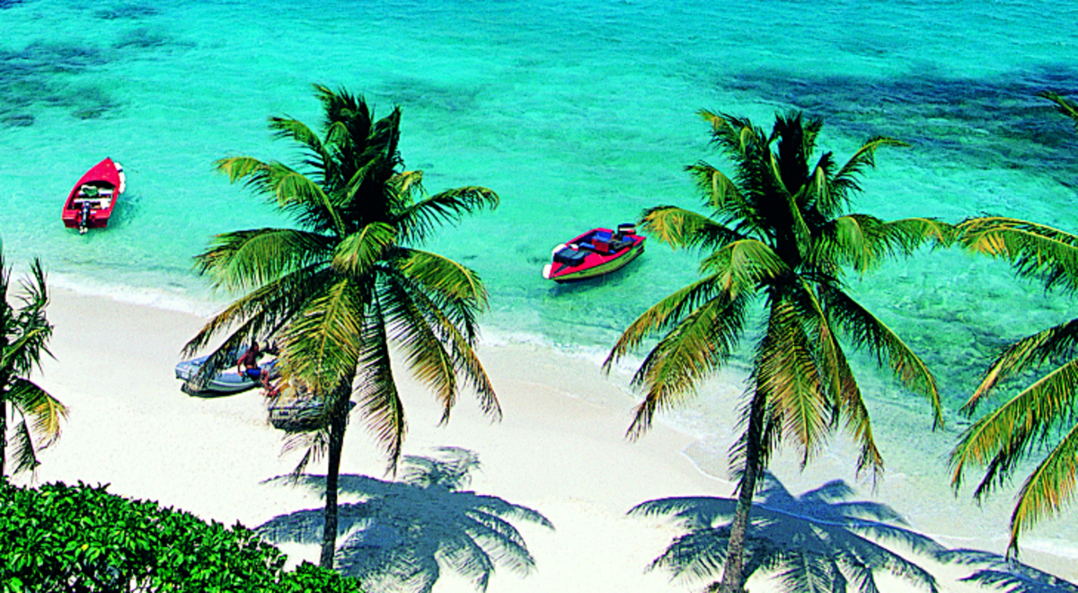 Tall palm trees at the beach side with four motor boat
