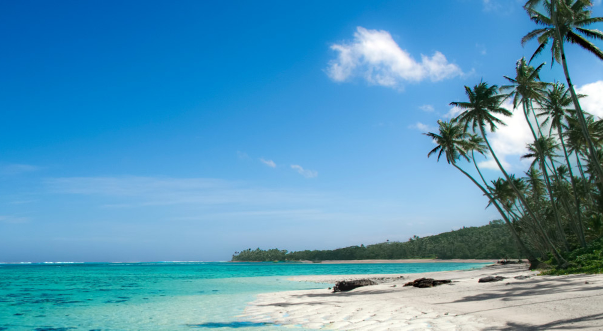 Beach and palm trees in Fiji.