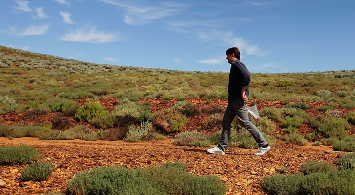 a guy in blue sweater walking in the middle of a bushy terrain