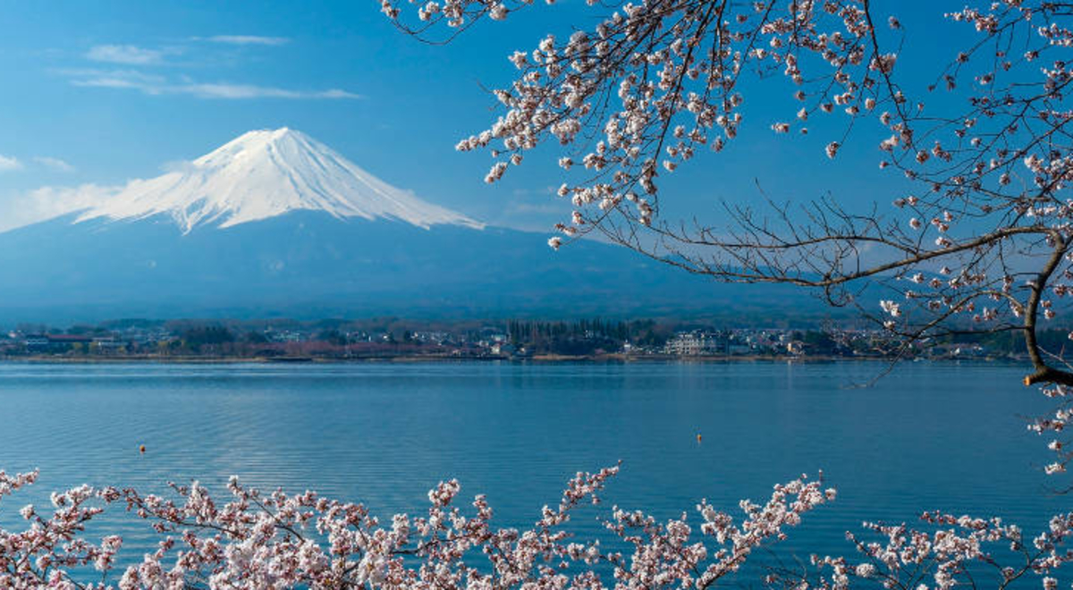 Mt. Fuji with view cherry blossoms view