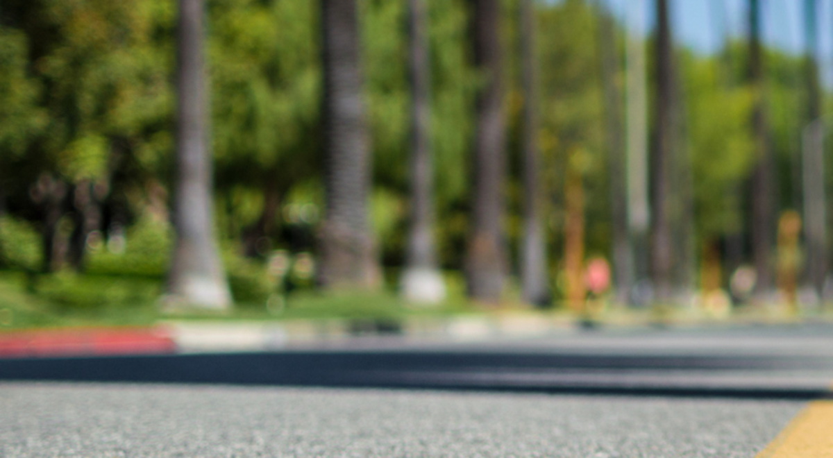 blurred picture of a highway filled with palm trees on the sides