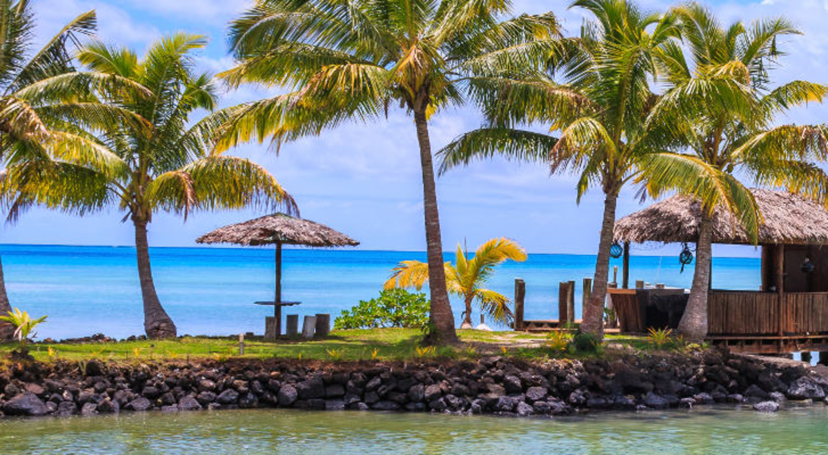 Beautiful resort where you can see the calm ocean and tall palm trees