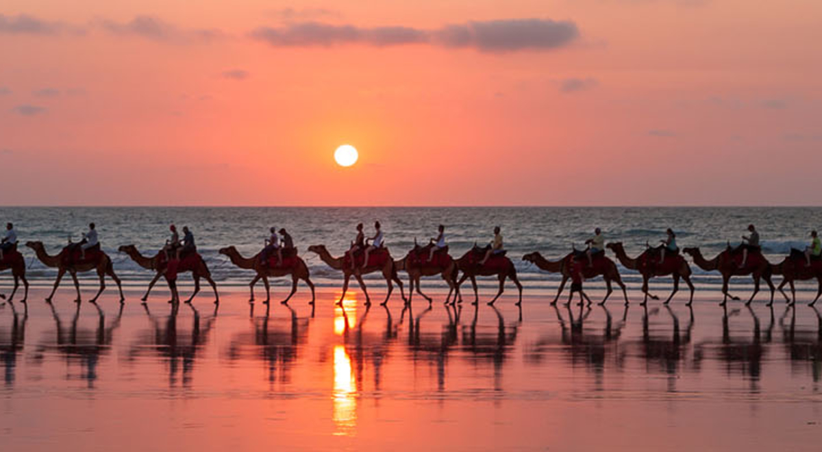 Tourists riding camels on the sea chore with the sunset on the background