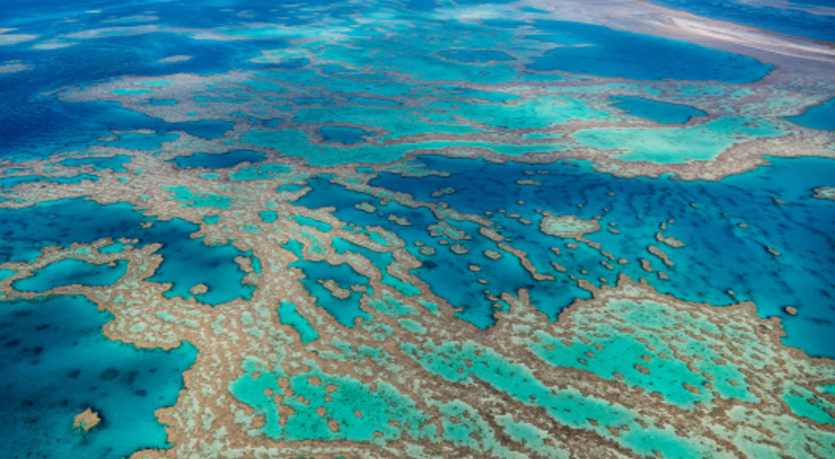Aerial view of the Hamilton Island ocean 
