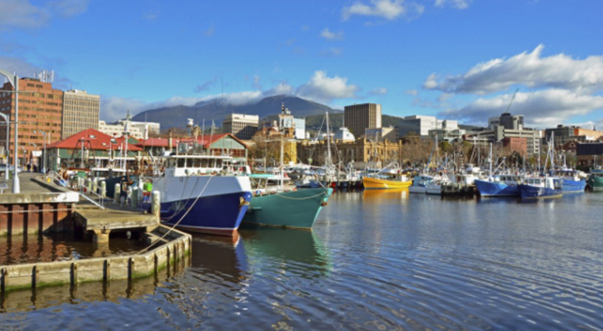 Colorful boats docked at the Port of Hobart