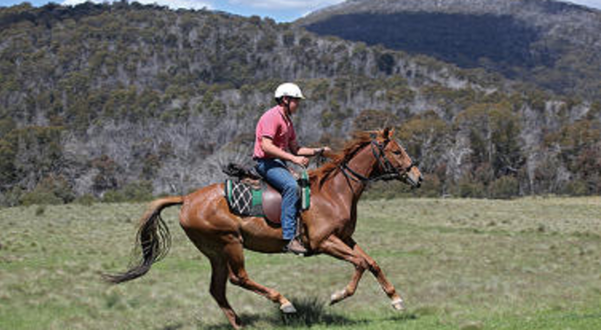 Man horse back riding in a field