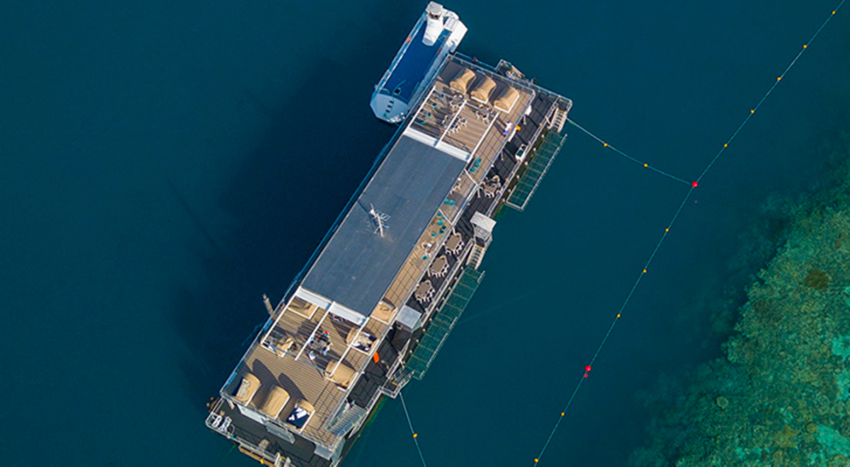 Aerial shot of Reefworld Pontoon on Great Barrier Reef