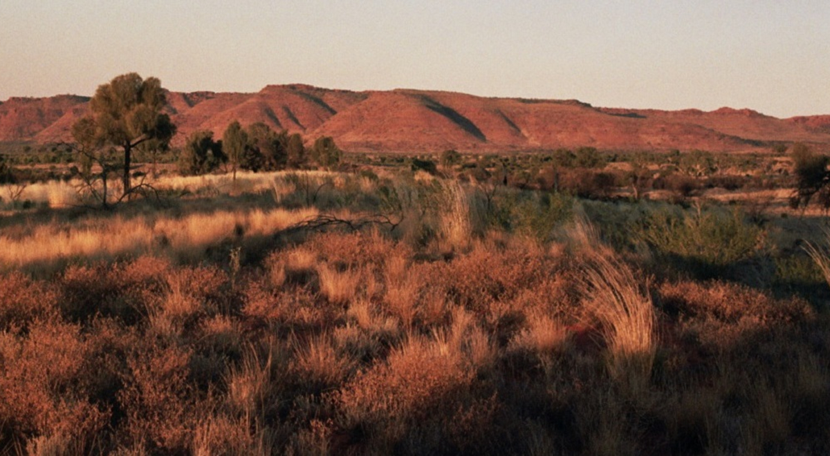 view of the Kings Canyon during sunset