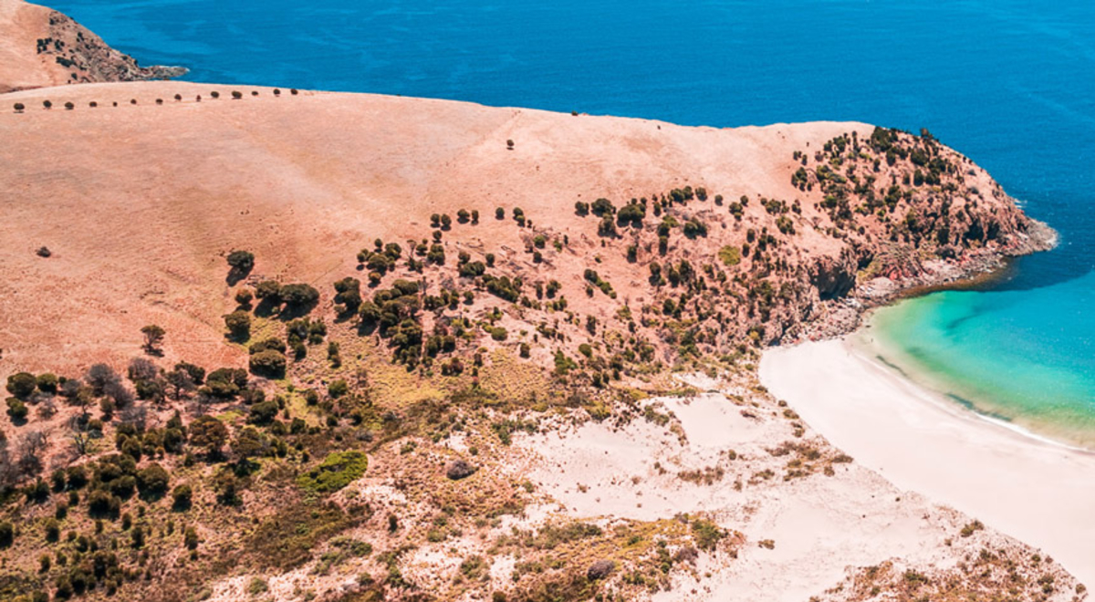 aerial view of south Australian beach