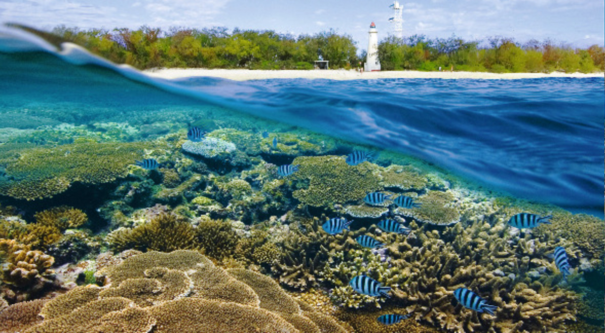 Clown fishes under the sea with corals and a light tower at the seashore