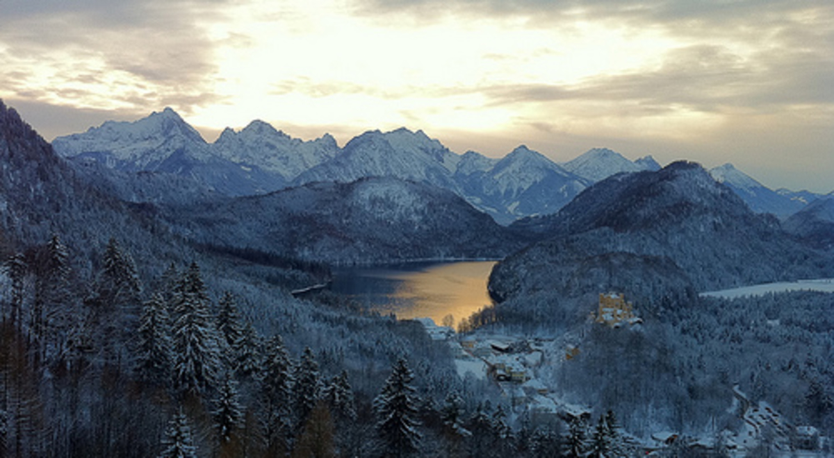 View of snow covered pine trees and mountains from New Schwanstein Castle