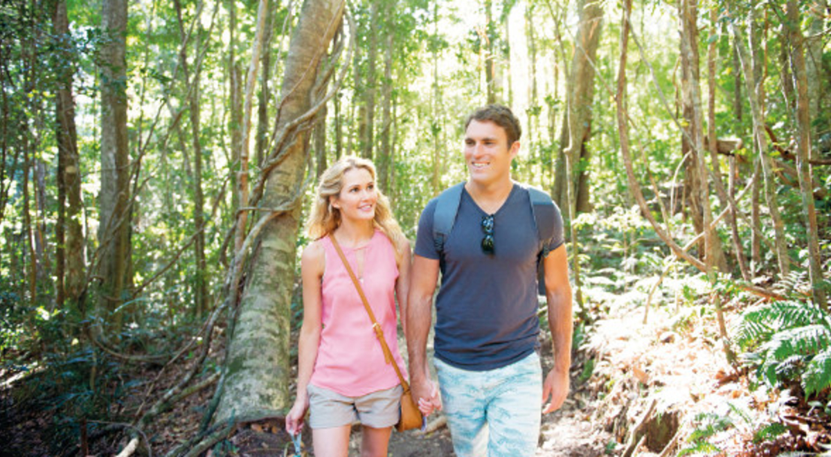 Couple holding hands on a bushwalk