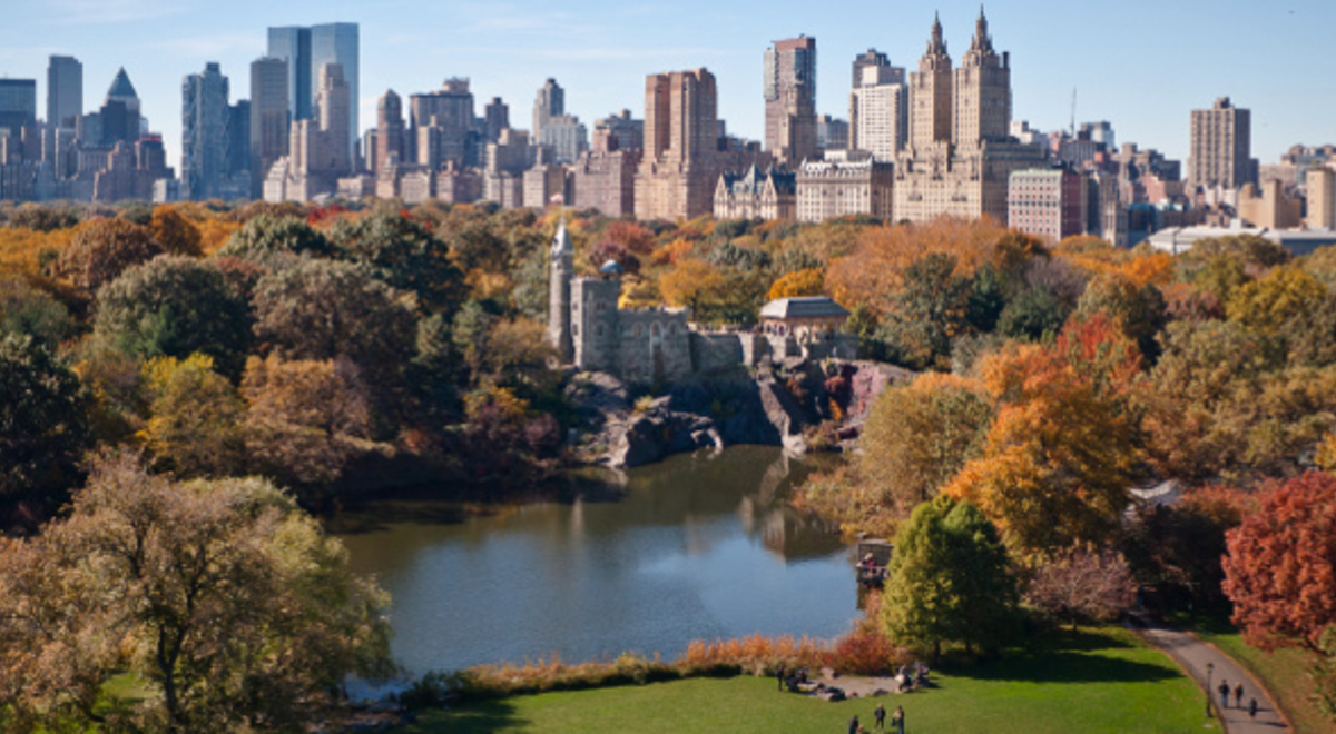 Overlooking Central Park with the New York City skyline in the background