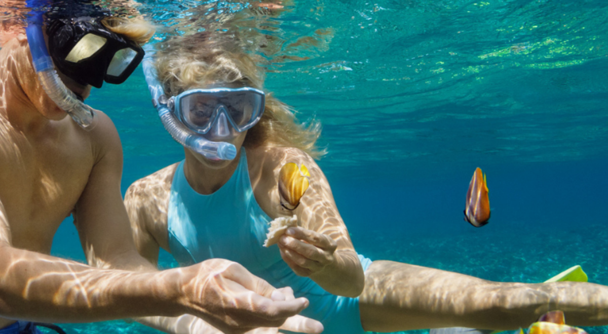 Couple feeding fish while snorkeling in Phuket