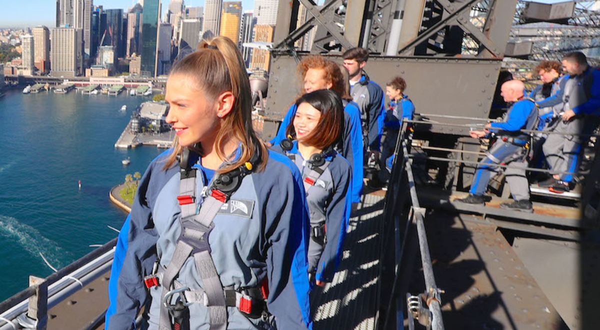 View from the Sydney Harbour Bridge climb 