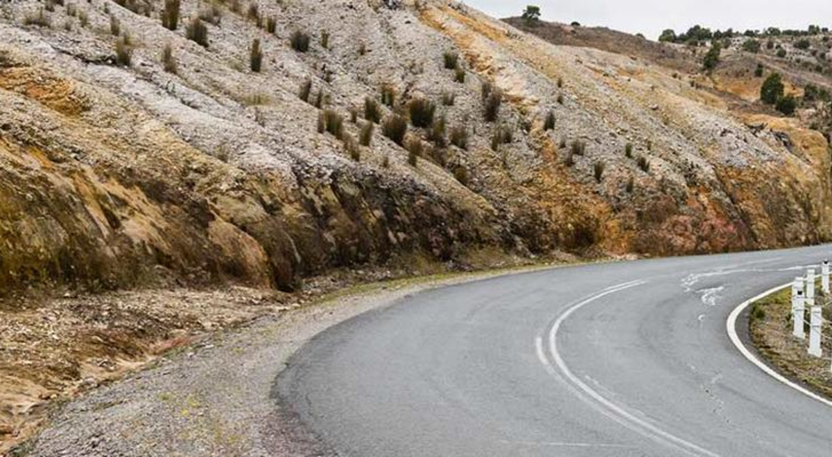 Winding road through vegetation 