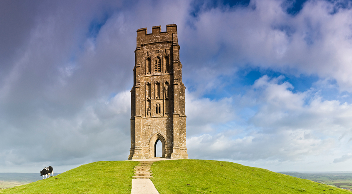 The glastonbury tor in the middle of the mountain peak with a black and white cow eating grass on its side