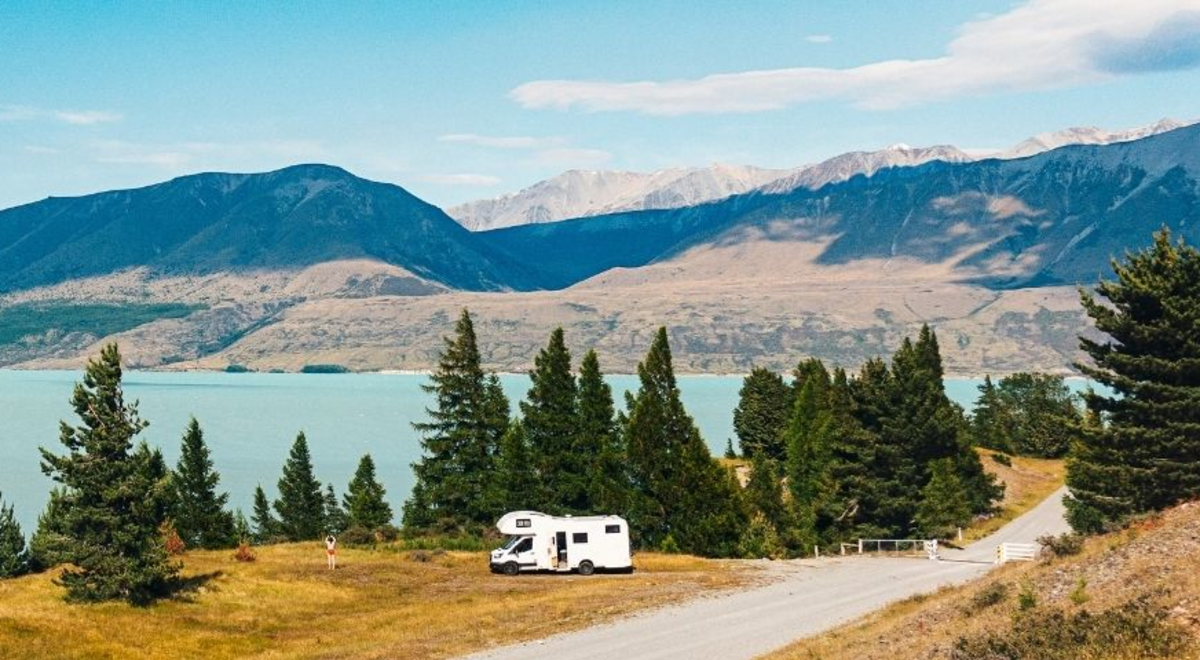 Pine trees surrounds the ocean with a white campervan parked beside the road