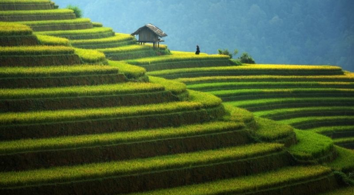 Image of Vietnam