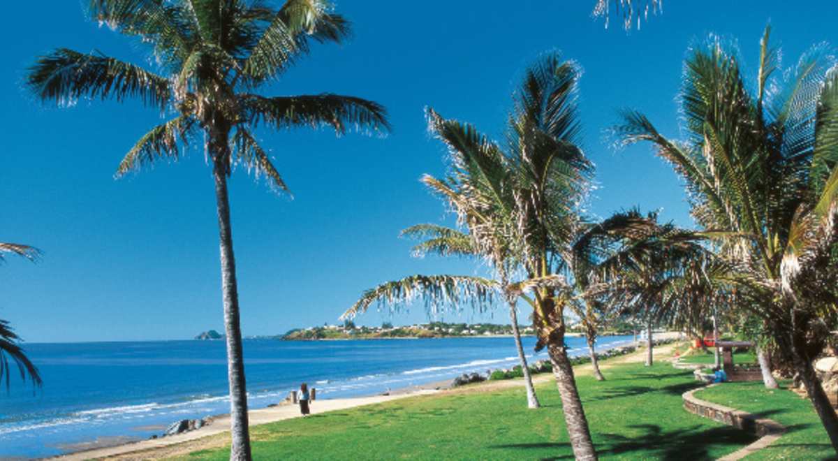 Luscious palm trees lining up the shore of Yeppoon Beach