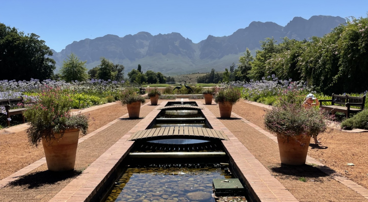 A view of Vergelegen wine farm in the Cape.