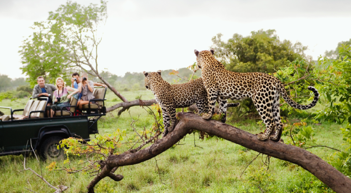 africa